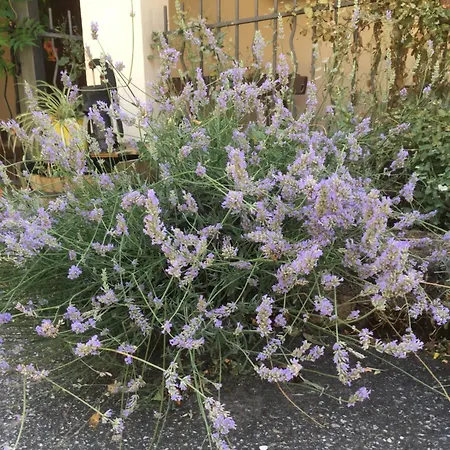 Frühstückspension Ca Biocco