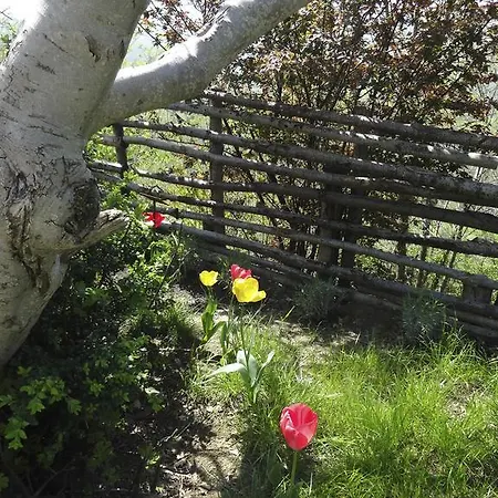 Frühstückspension Ca Biocco