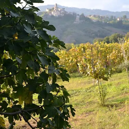 Ca Biocco Oda ve Kahvaltı Sogliano al Rubicone