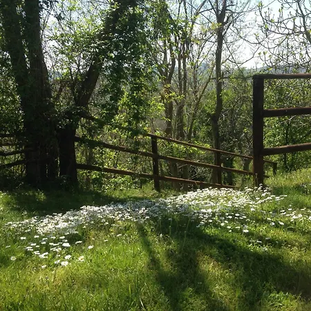 Bed and Breakfast Ca Biocco 3*