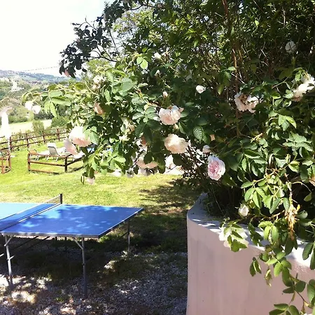 Ca Biocco 3*