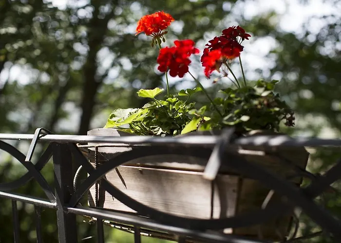 Nocleg ze śniadaniem Ca Biocco