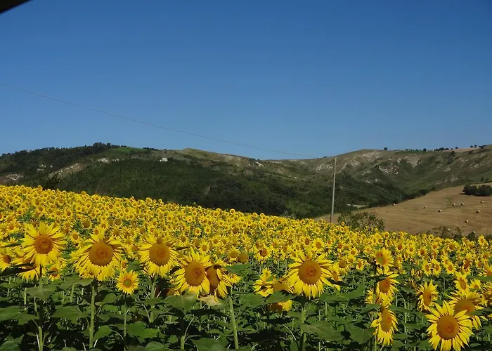 Nocleg ze śniadaniem Ca Biocco