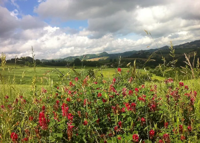 Nocleg ze śniadaniem Ca Biocco Sogliano al Rubicone