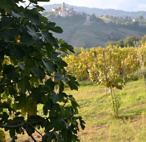 Ca Biocco B&B Sogliano al Rubicone